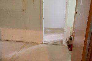 Wohnungsentrümpelung1