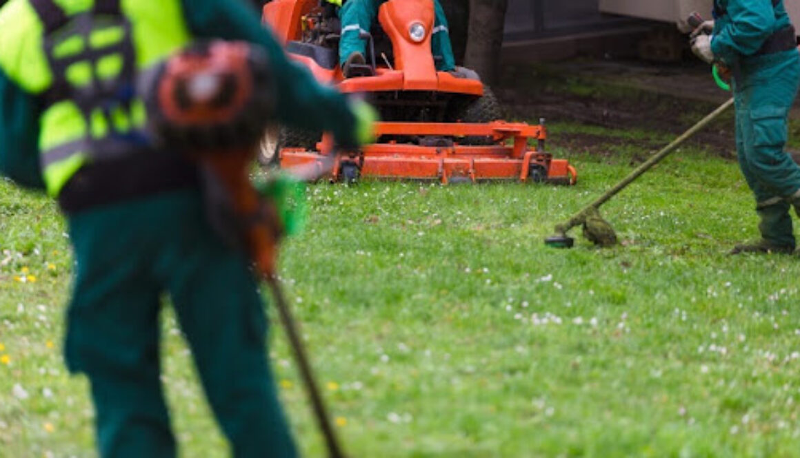 Gartenräumung in Wien: Grünschnitt wird gemäht und entfernt
