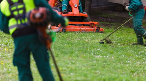 Gartenräumung in Wien: Grünschnitt wird gemäht und entfernt